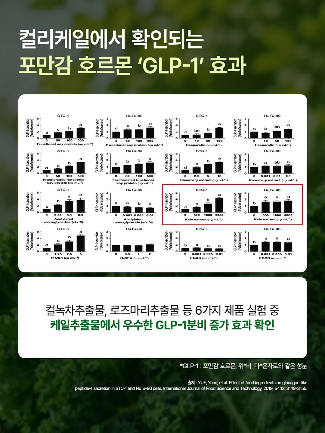 플로우 도트 플리스 자켓 12