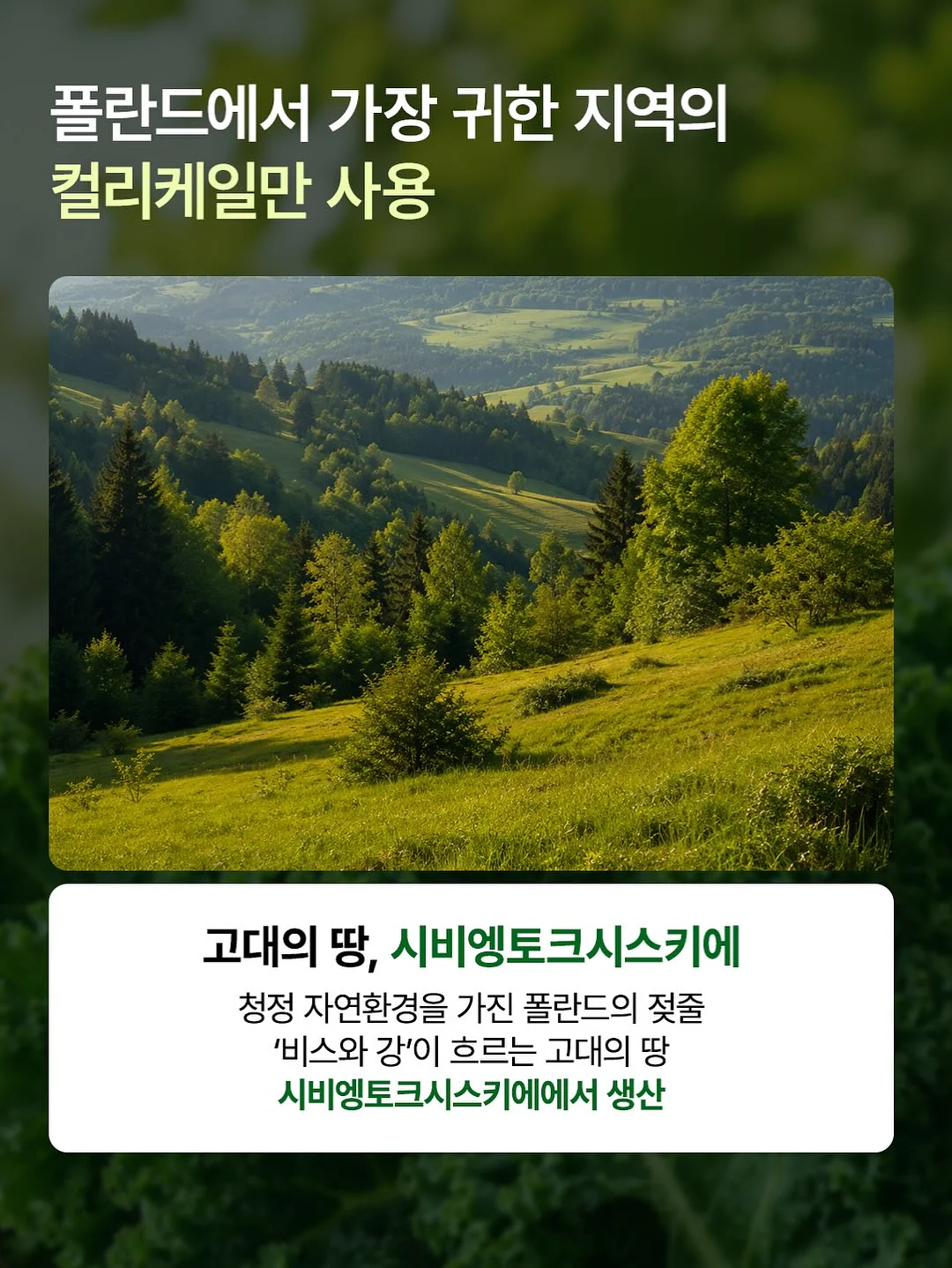 플로우 도트 플리스 자켓 15