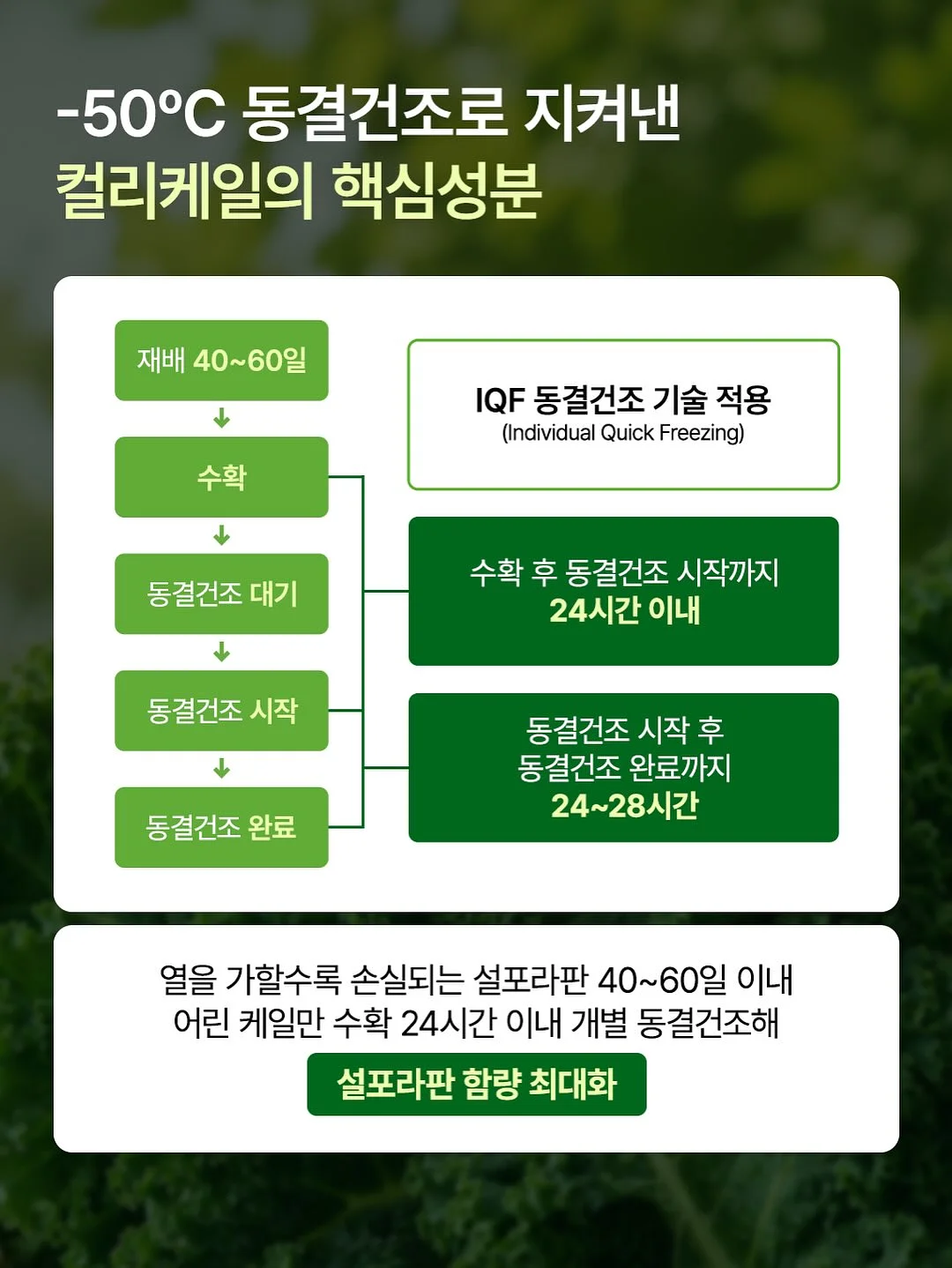 플로우 도트 플리스 자켓 10