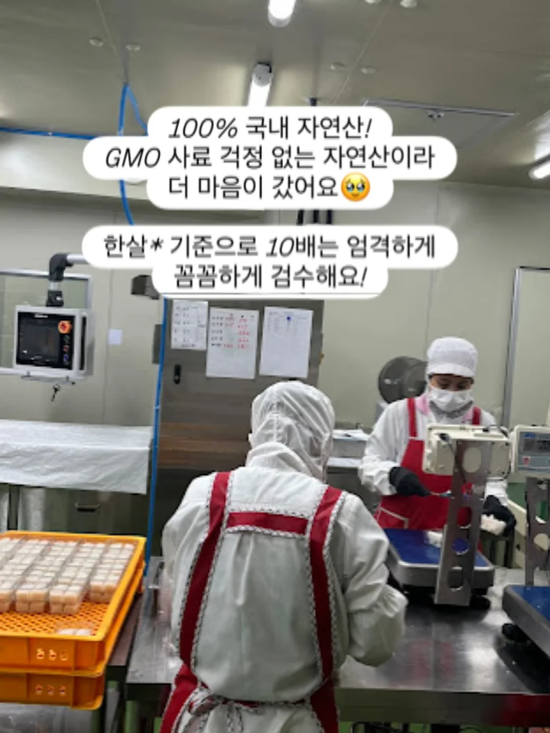 몰티초코바라 파츠 5