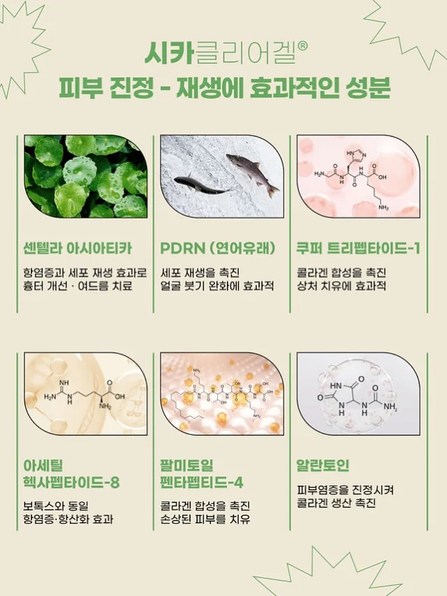 측두근 상부승모근 관리 5