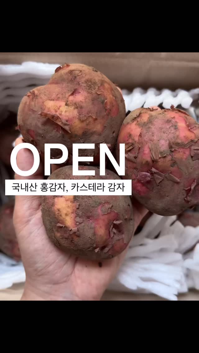 돈과 영어의 비상식적인 관계