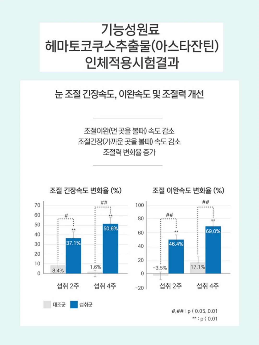 올드 빈티지 파인 도어 3