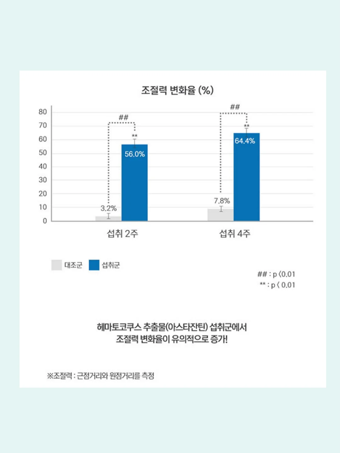 올드 빈티지 파인 도어 4