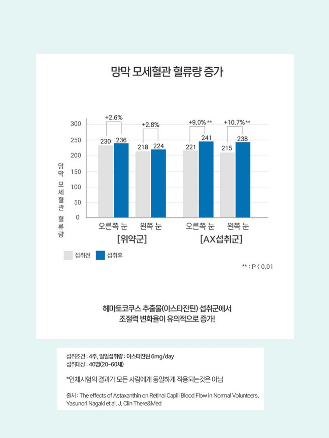 올드 빈티지 파인 도어 5