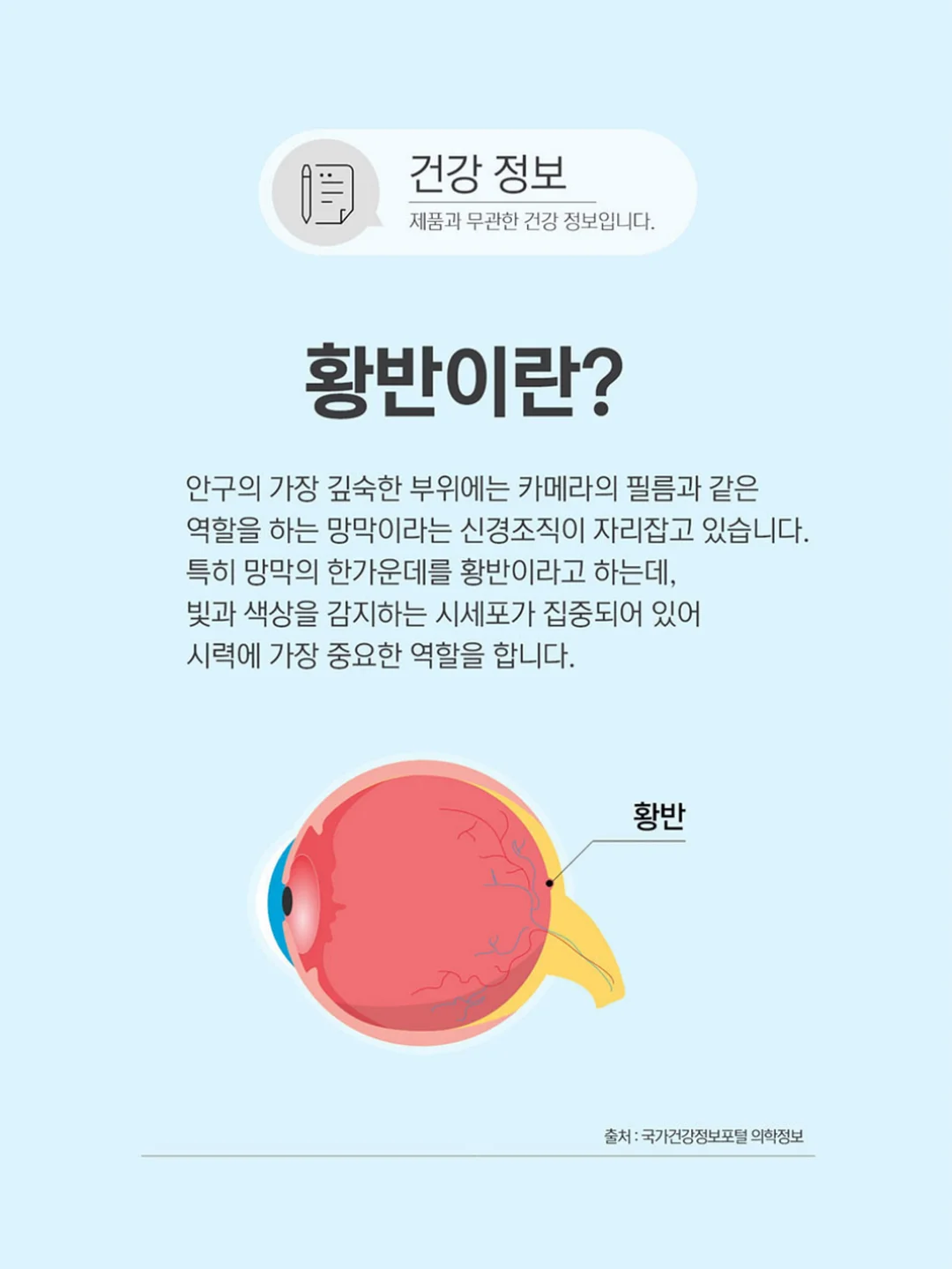 올드 빈티지 파인 도어 6