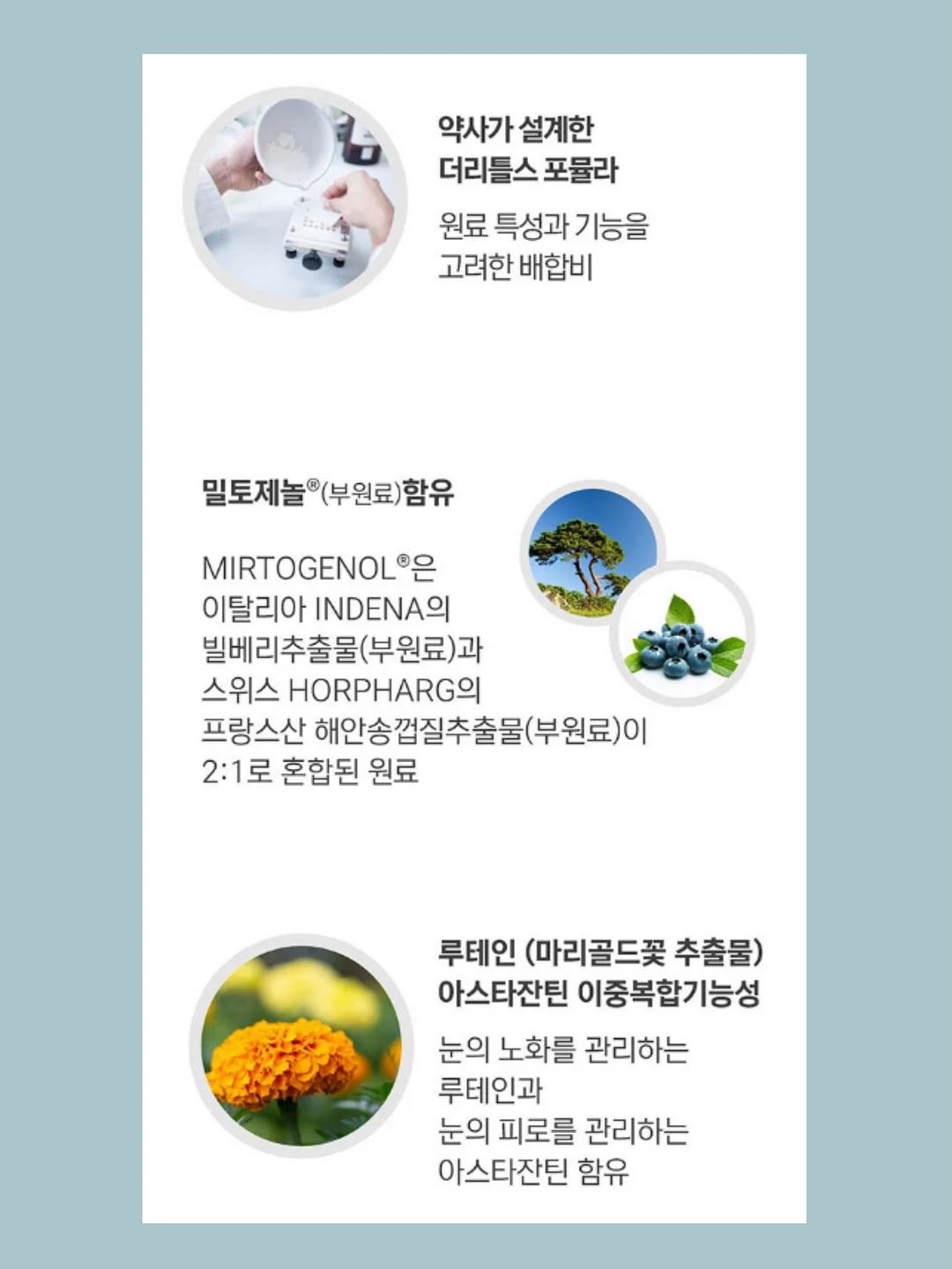 올드 빈티지 파인 도어 7