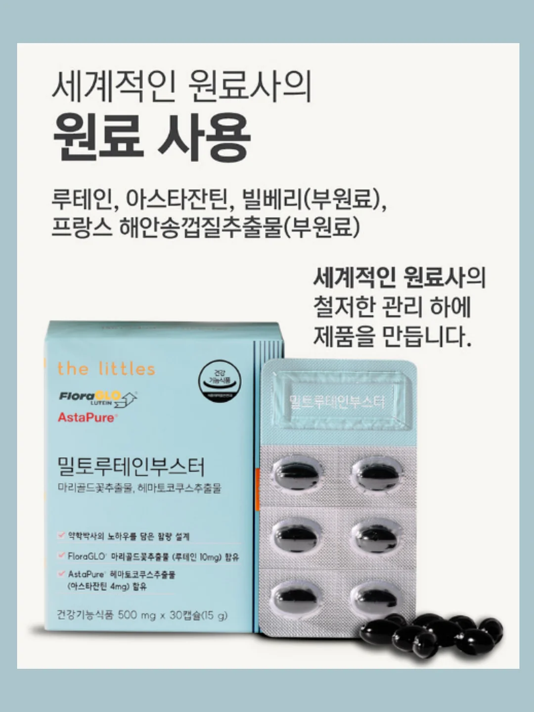 올드 빈티지 파인 도어 8