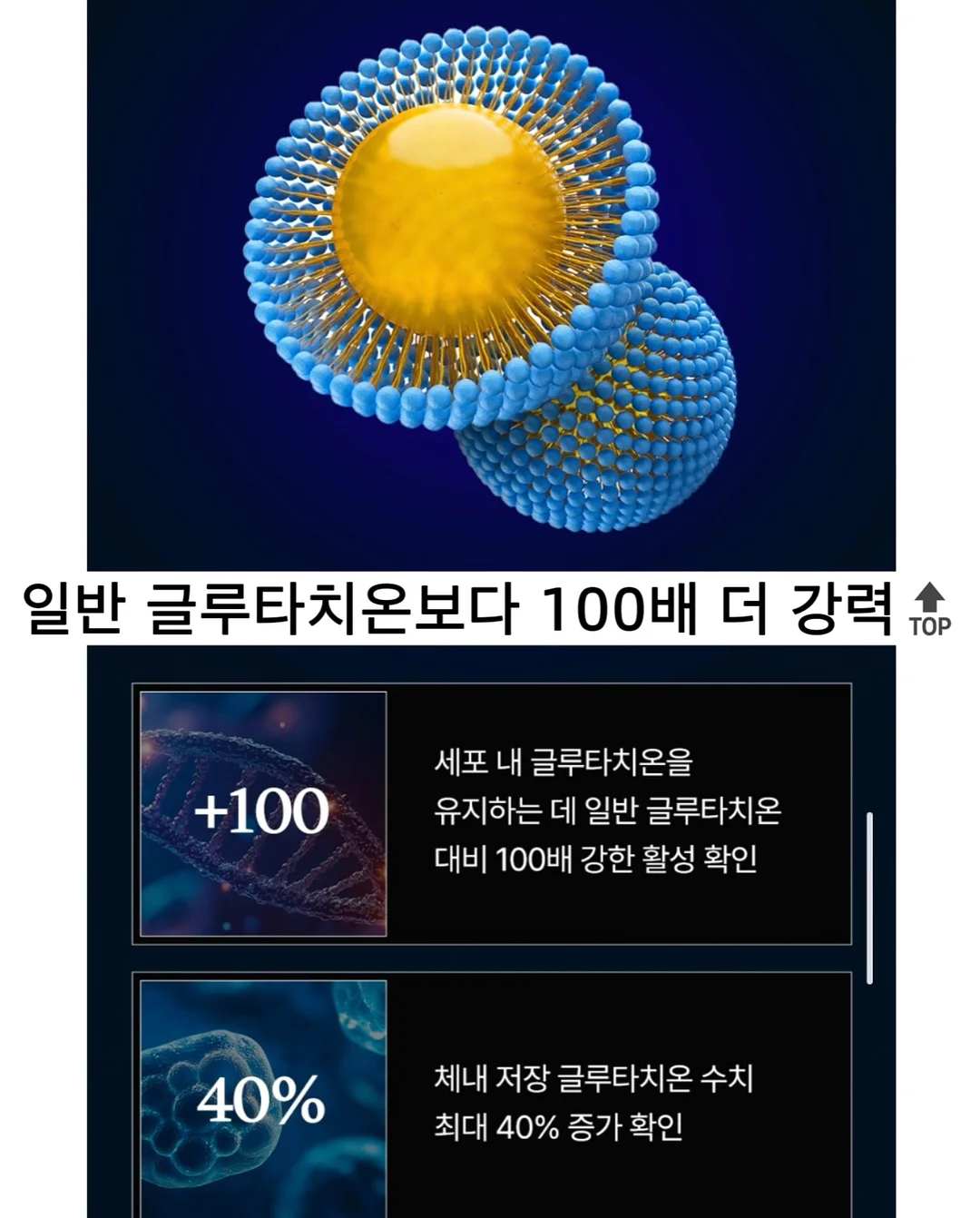 투시 위장 텐트 12