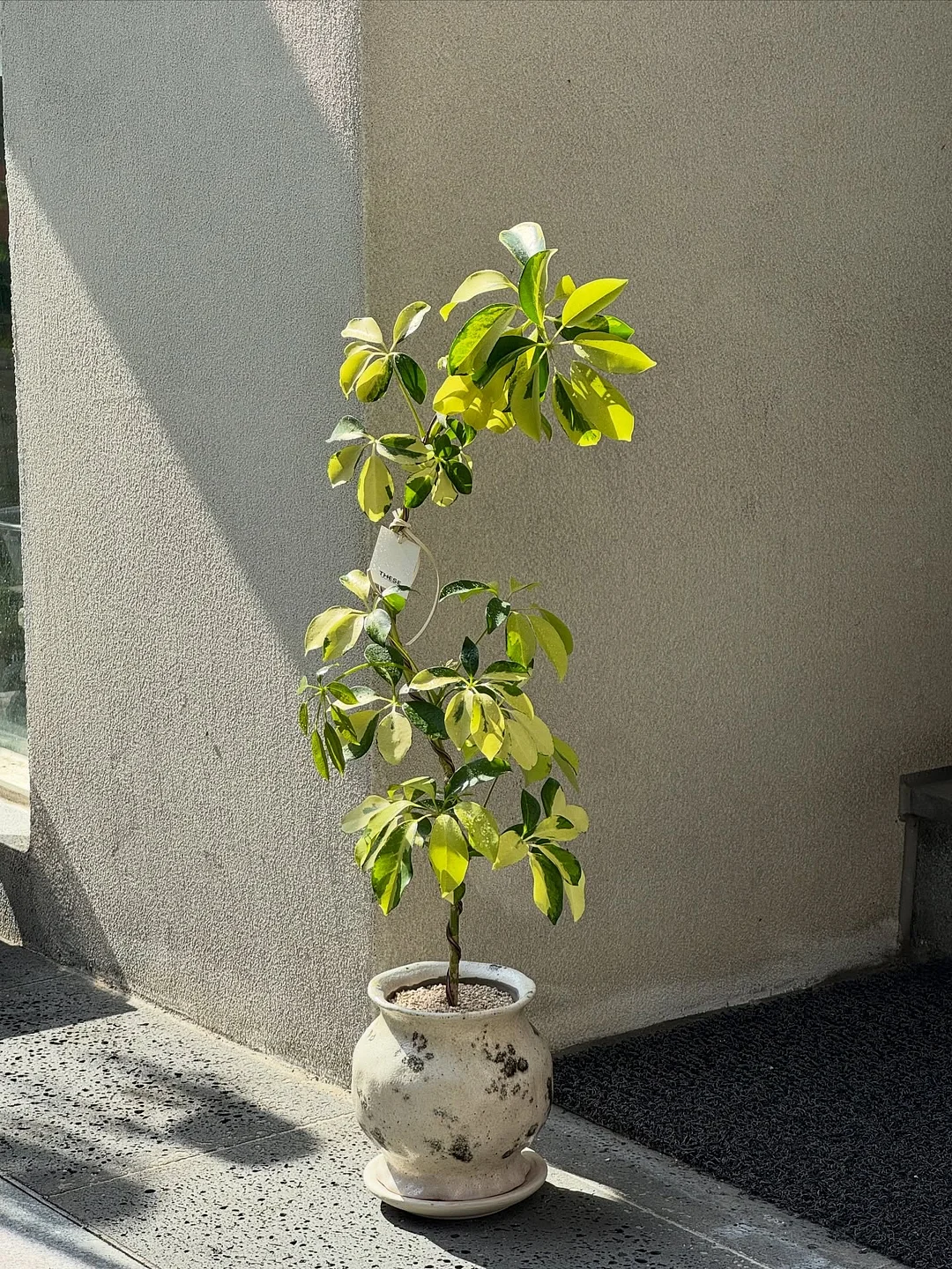 주방 수건 걸이 1