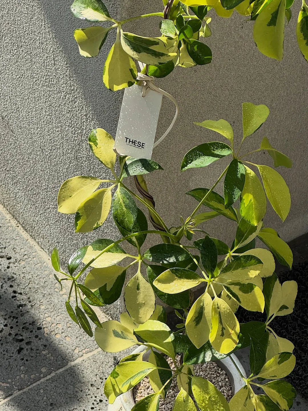 주방 수건 걸이 3