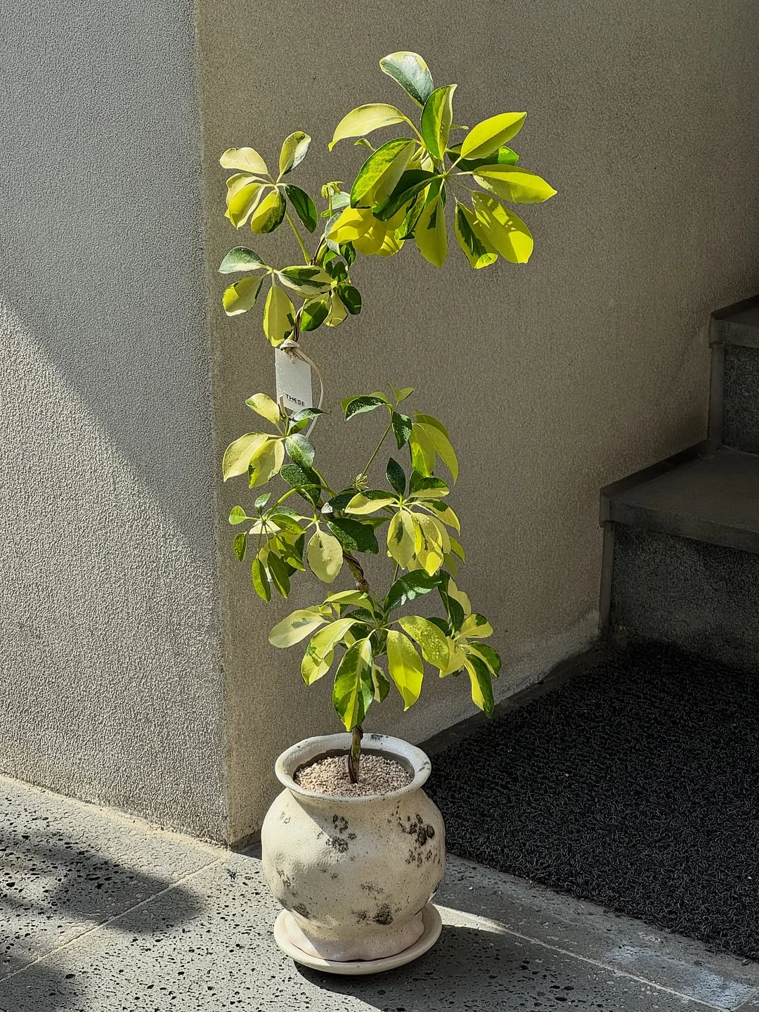 주방 수건 걸이 4