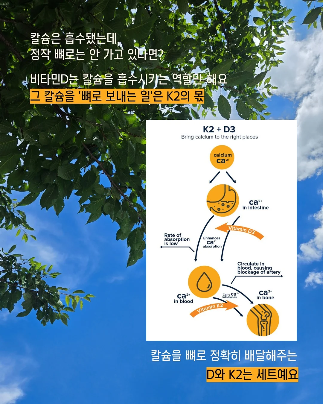 구멍청 5