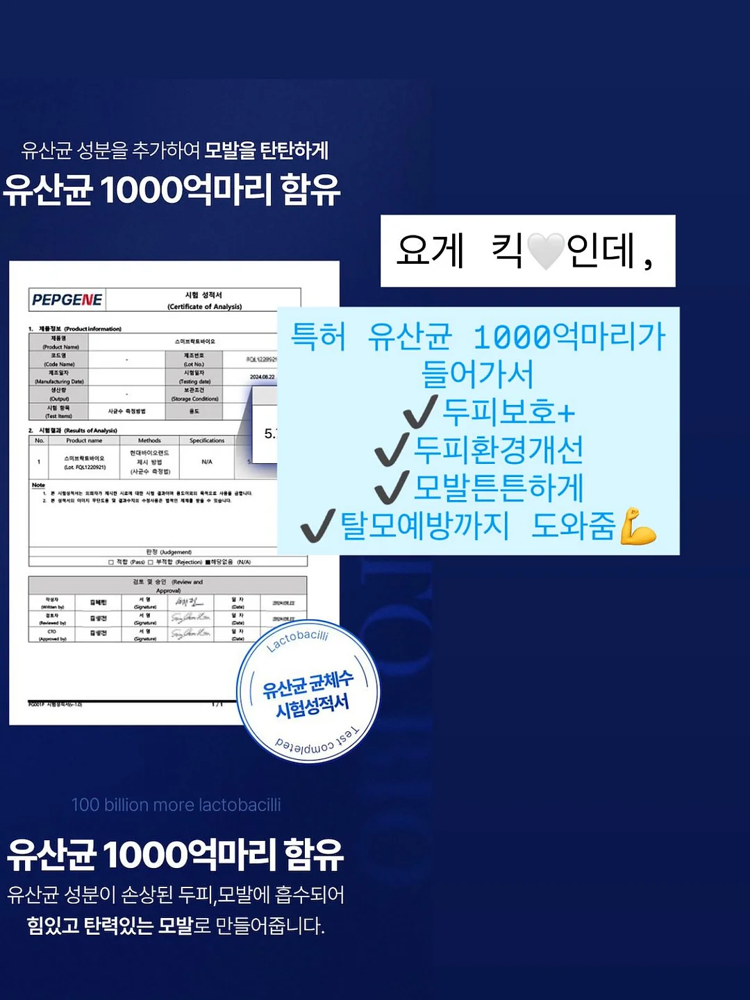 reimei -dawn- 니트 패턴 3