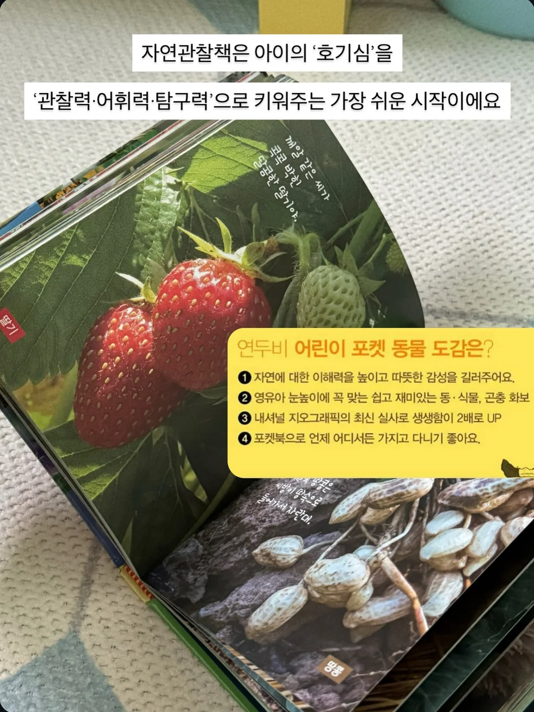 온리포원 필라테스 체험수업 15