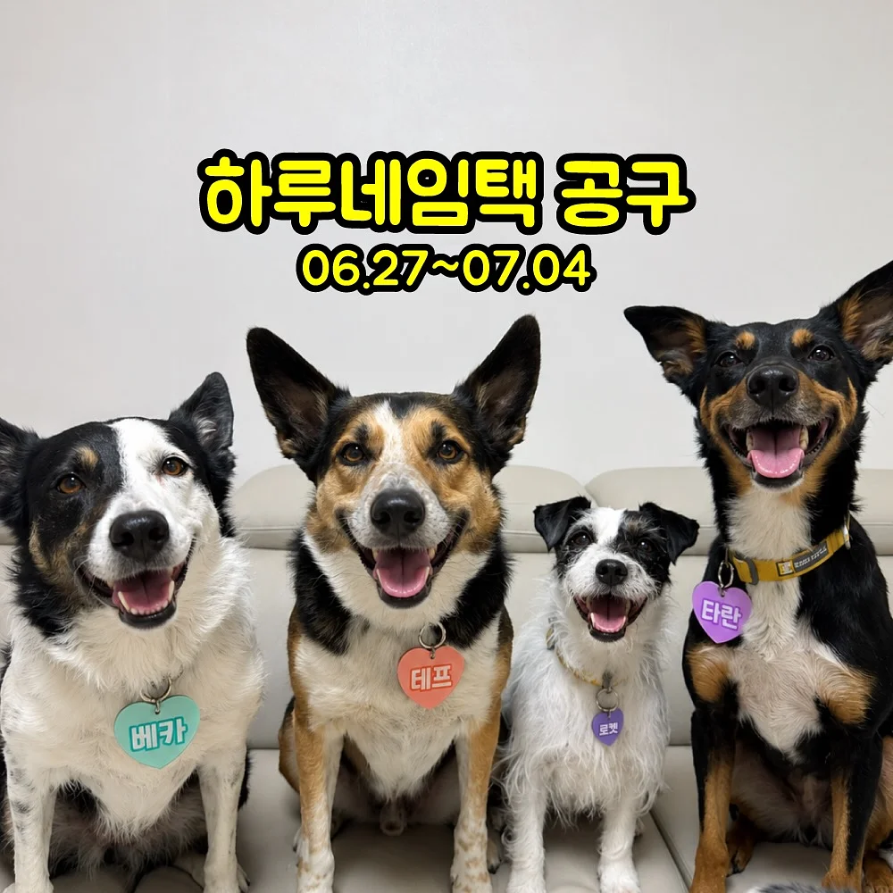 뜨개 롱 스커트 1