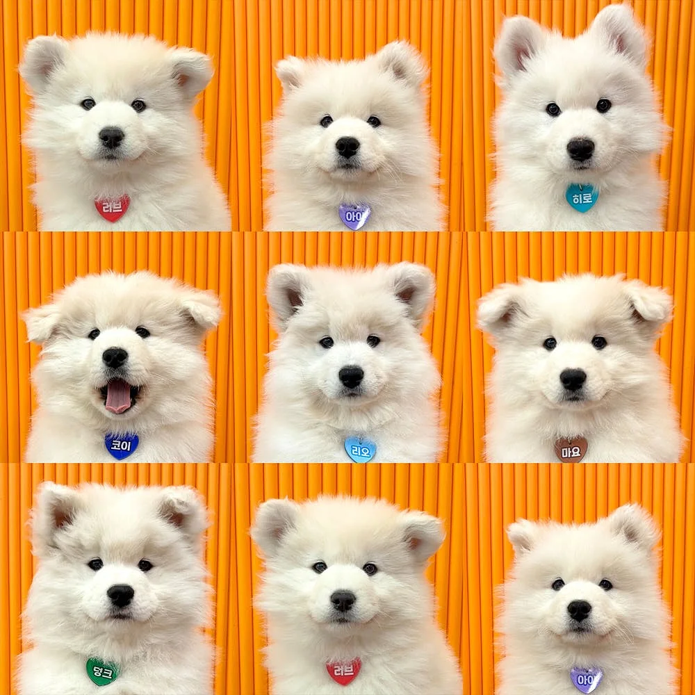 뜨개 롱 스커트 8