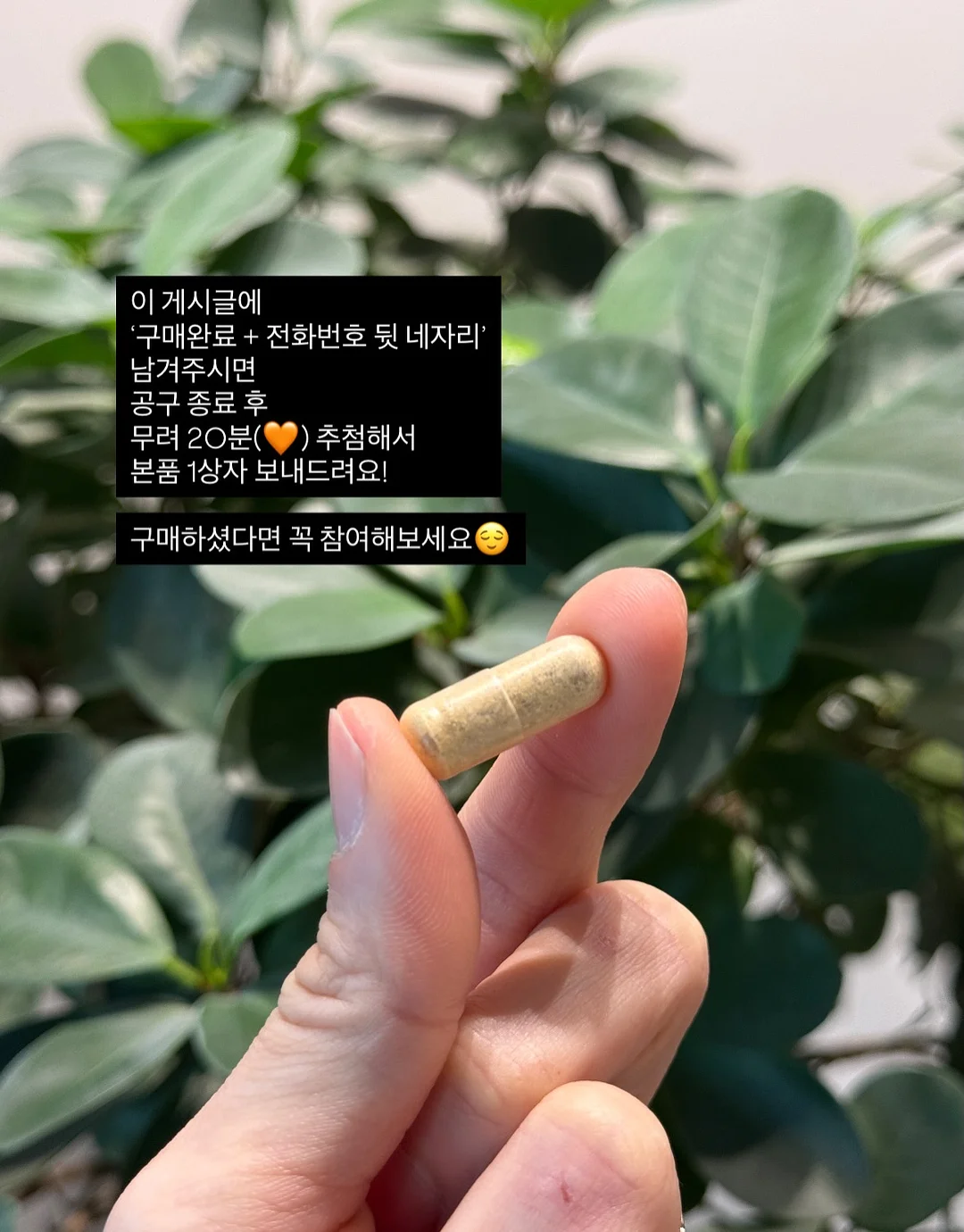 투웨이 미니 하프문백 5