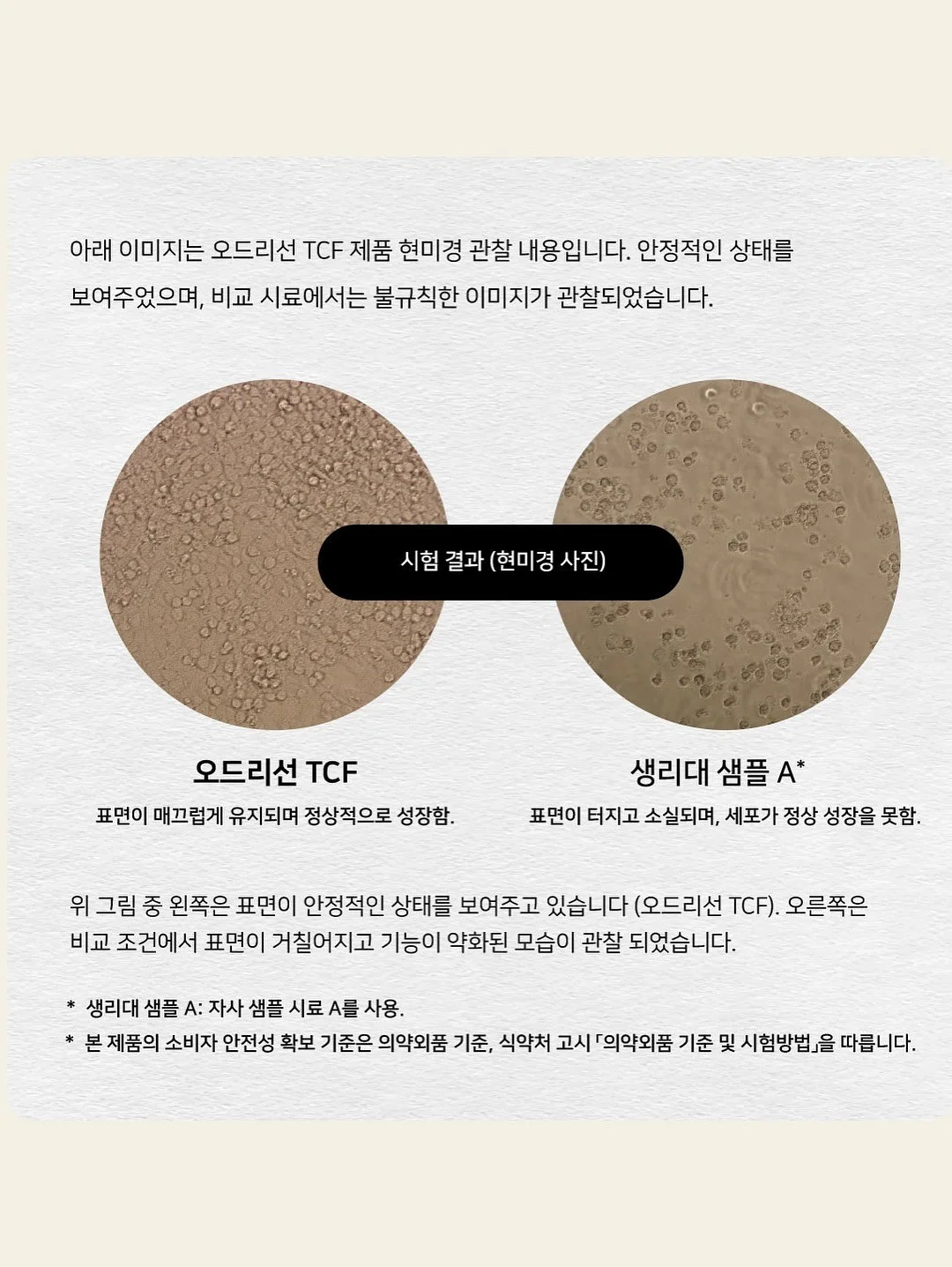 돌 상차림 4