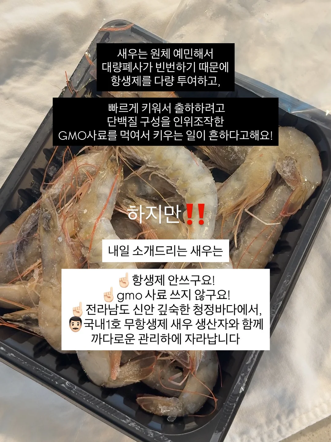 오픈숄더 원피스 2