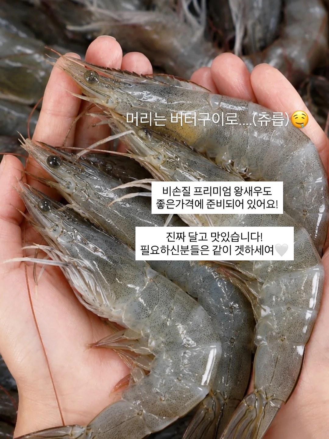 오픈숄더 원피스 9