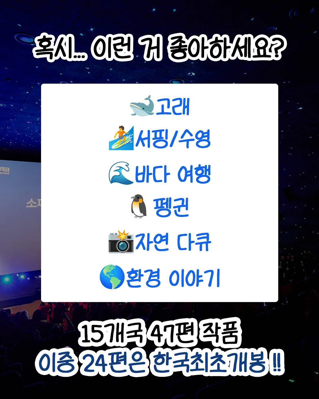 DUNS WINTER 컬렉션 2
