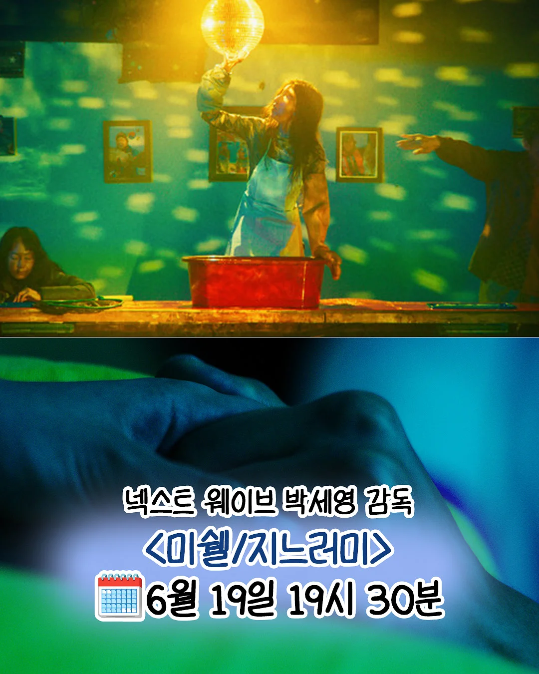 DUNS WINTER 컬렉션 5