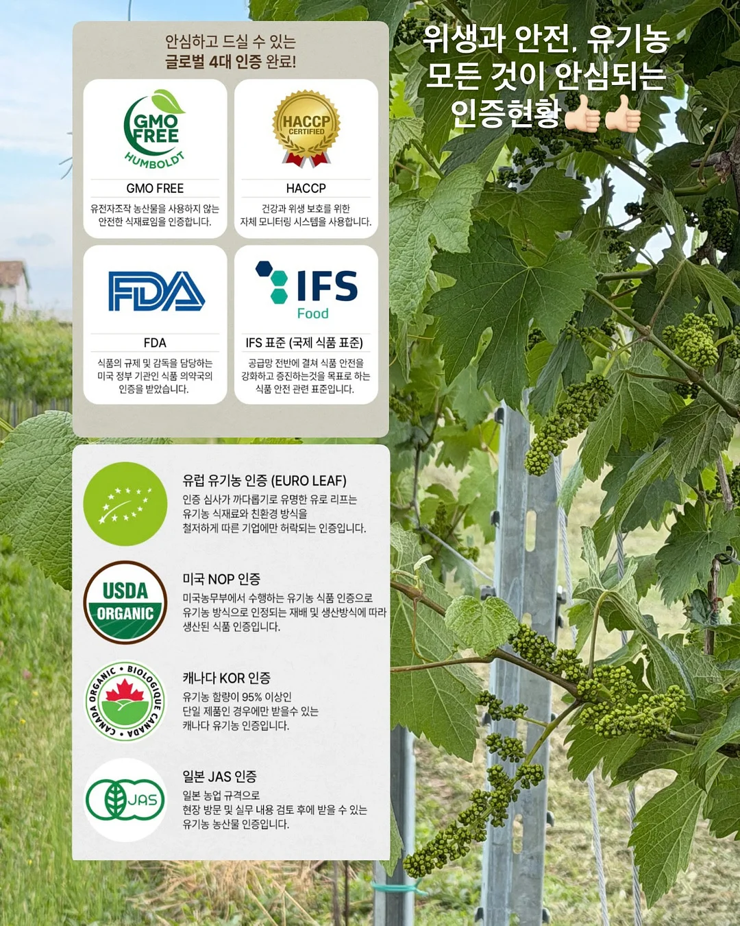 알타리김치 11