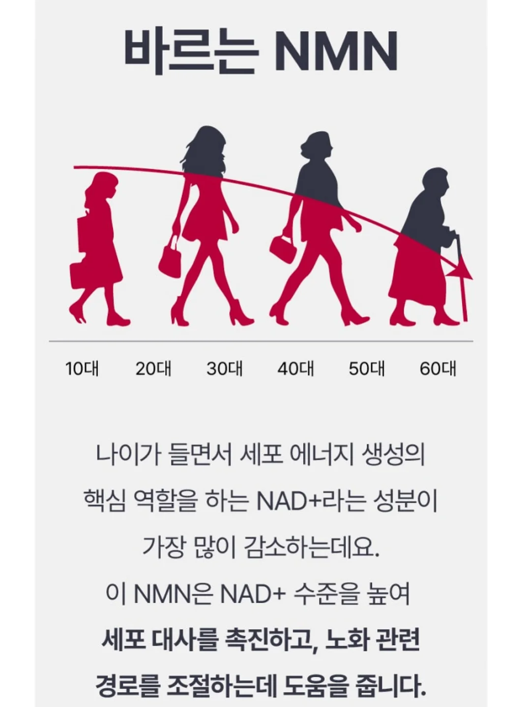 보테가베네타 카드지갑 8