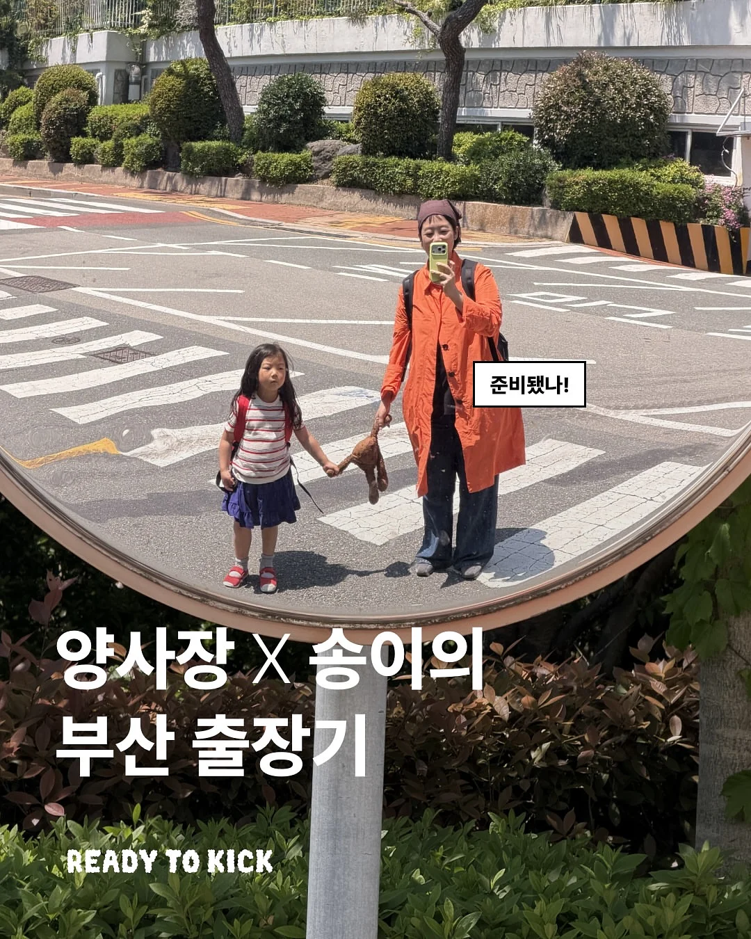 몬스테라 1