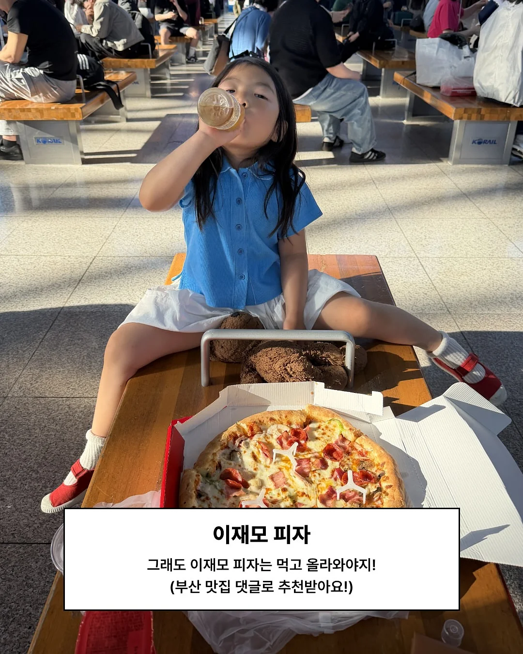 몬스테라 11