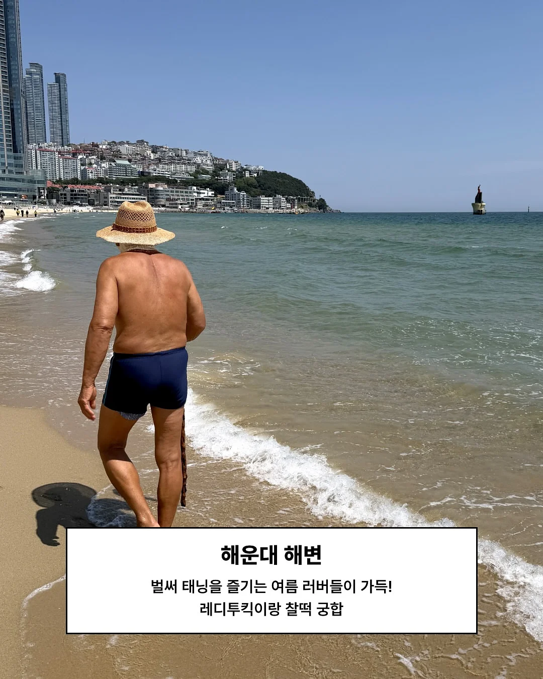 몬스테라 7