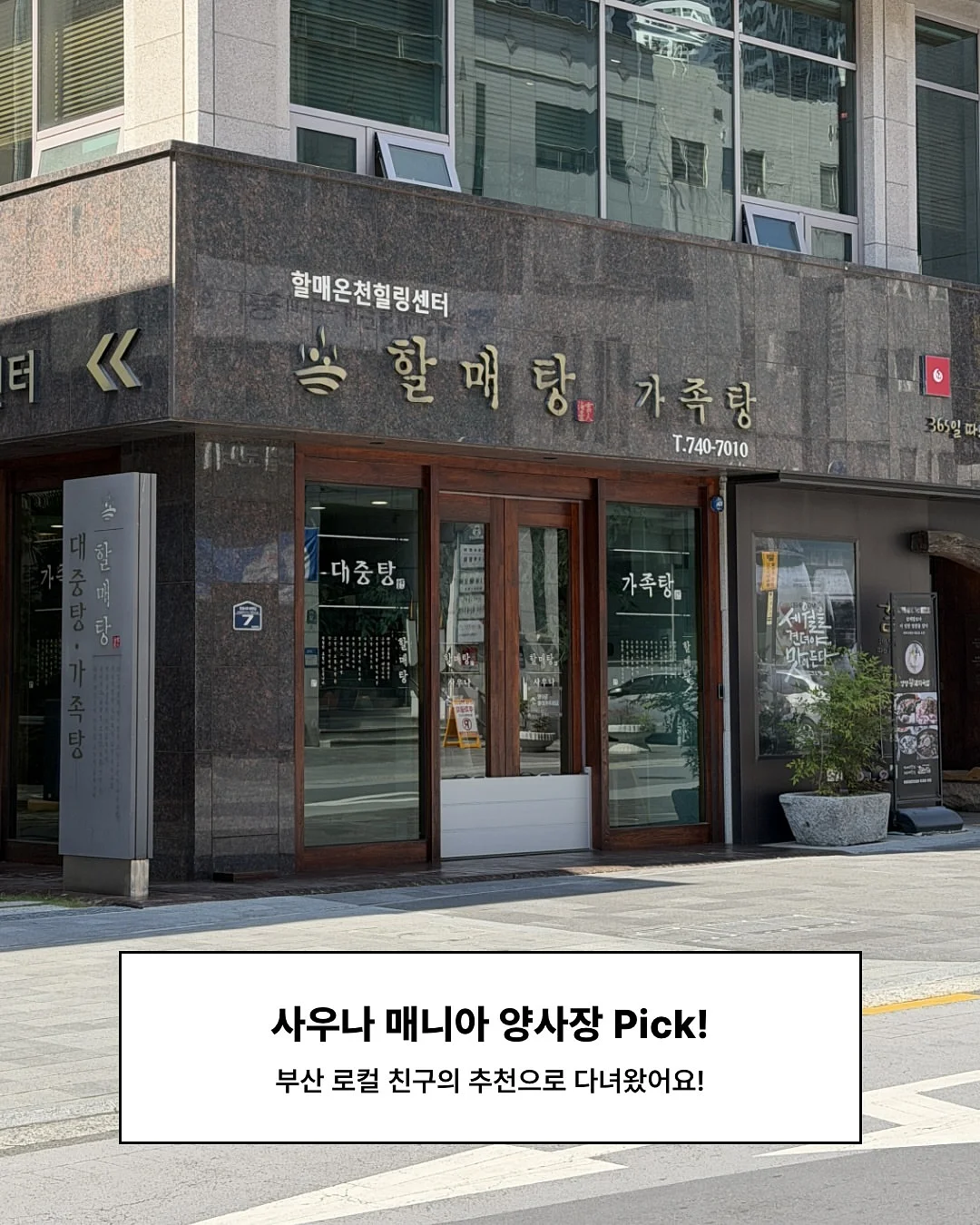 몬스테라 10