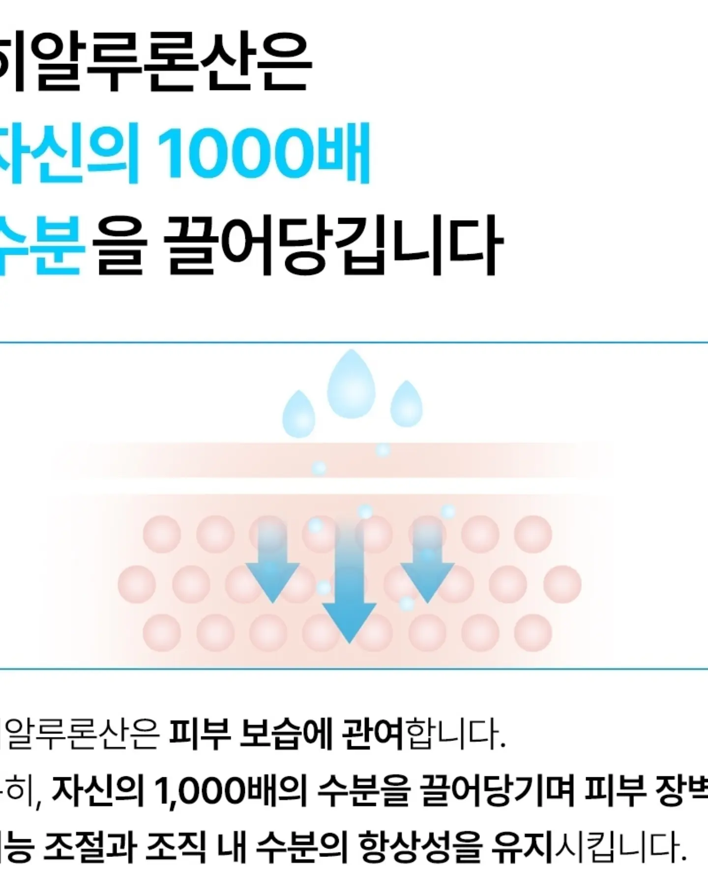 숙박세일페스타 쿠폰 11