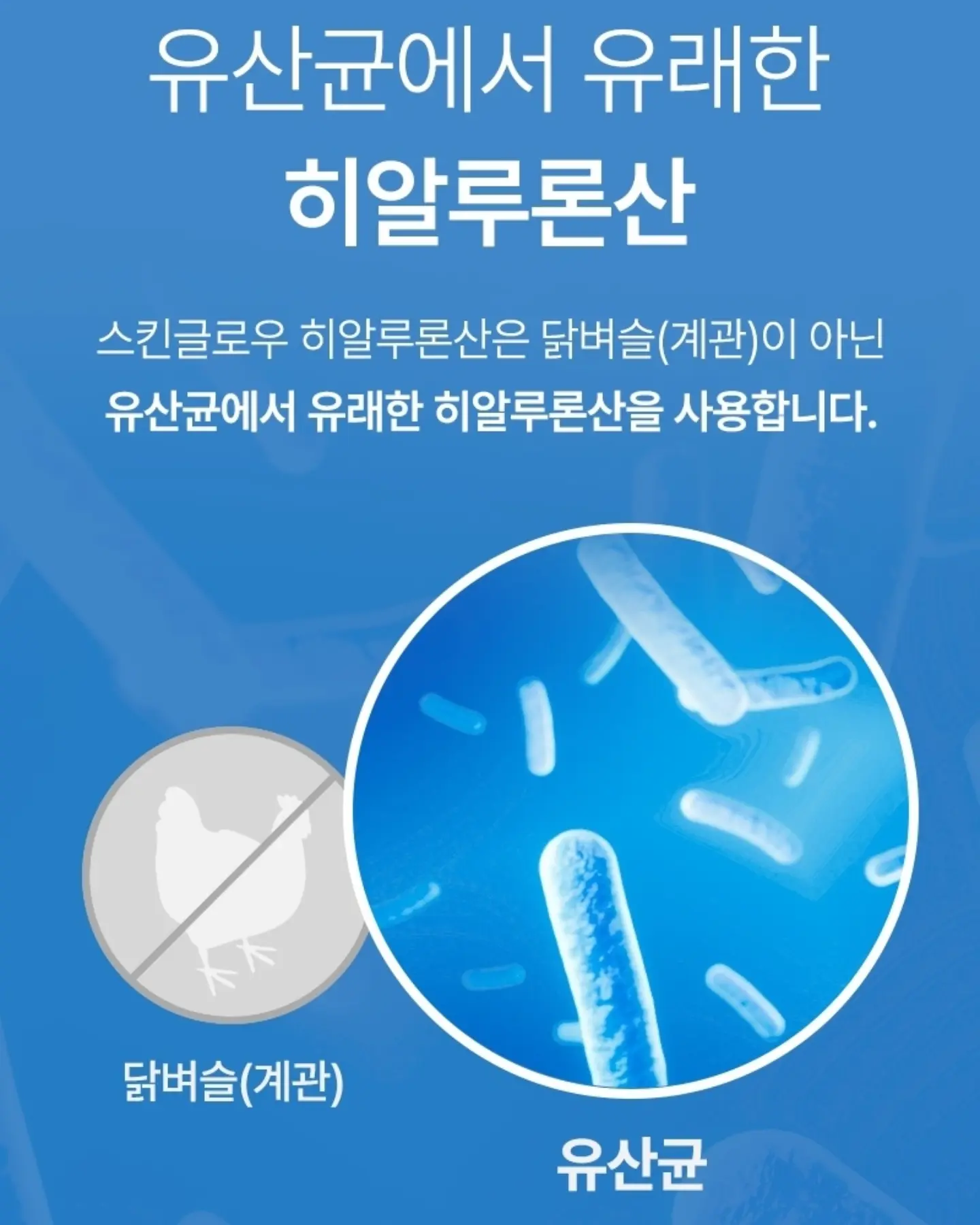 숙박세일페스타 쿠폰 13