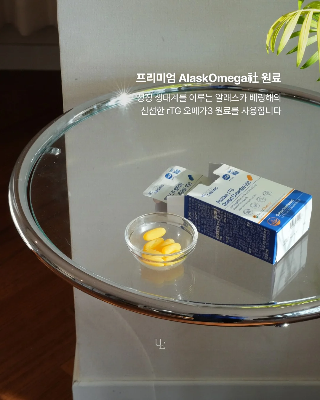 스꾸용 빵 스티커 20종 5
