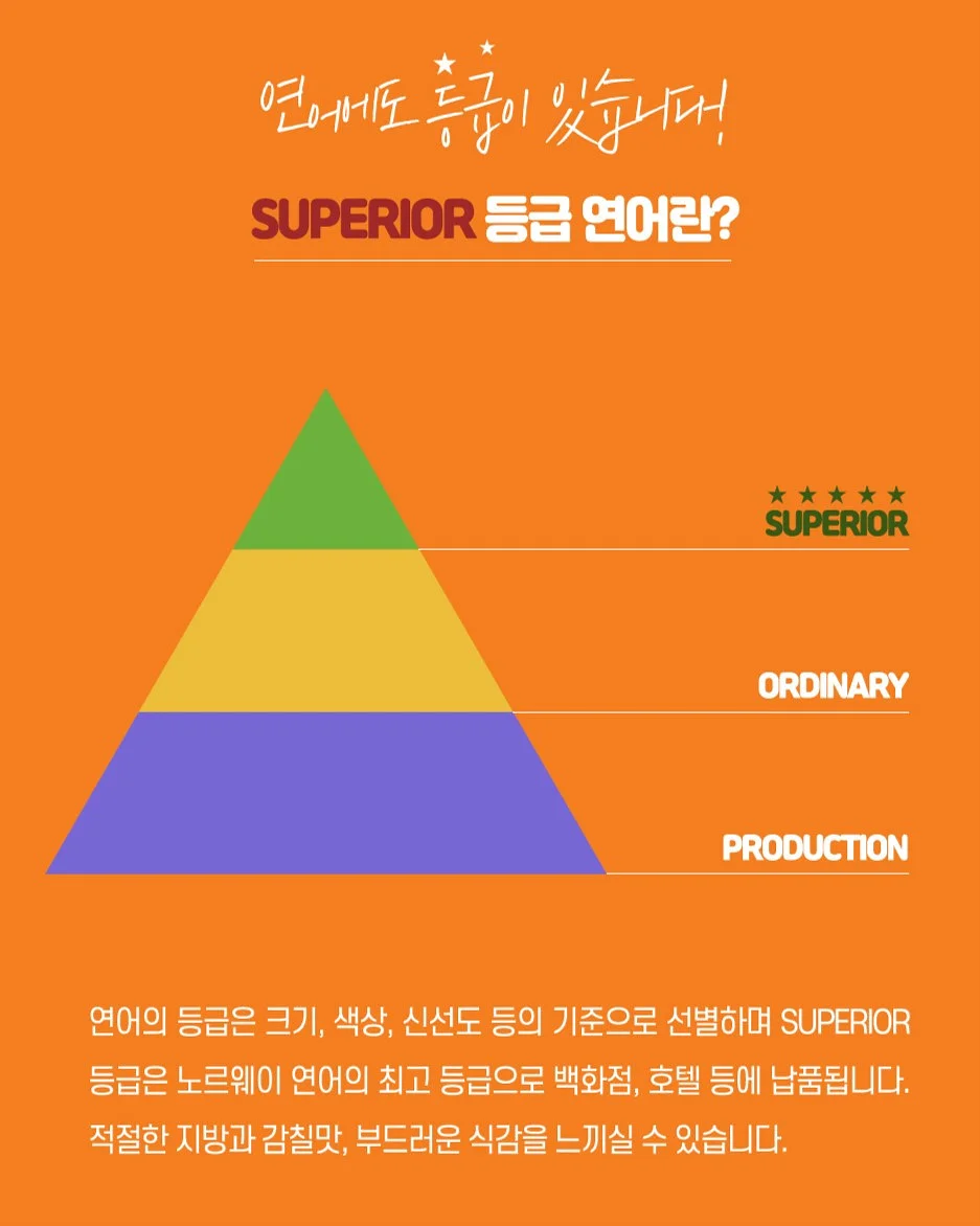 체험 기회 8