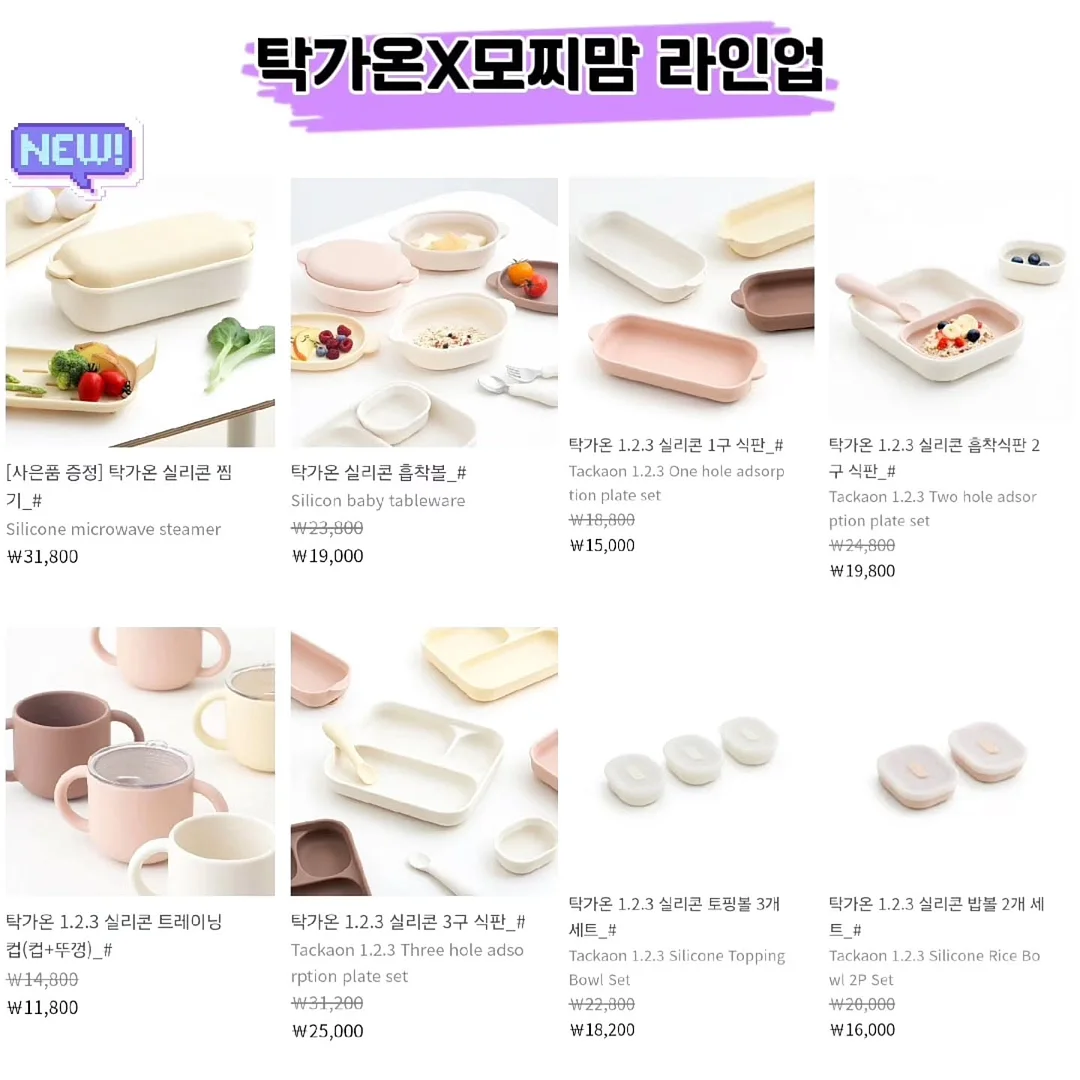 미니마우스 황금사 선인장 16
