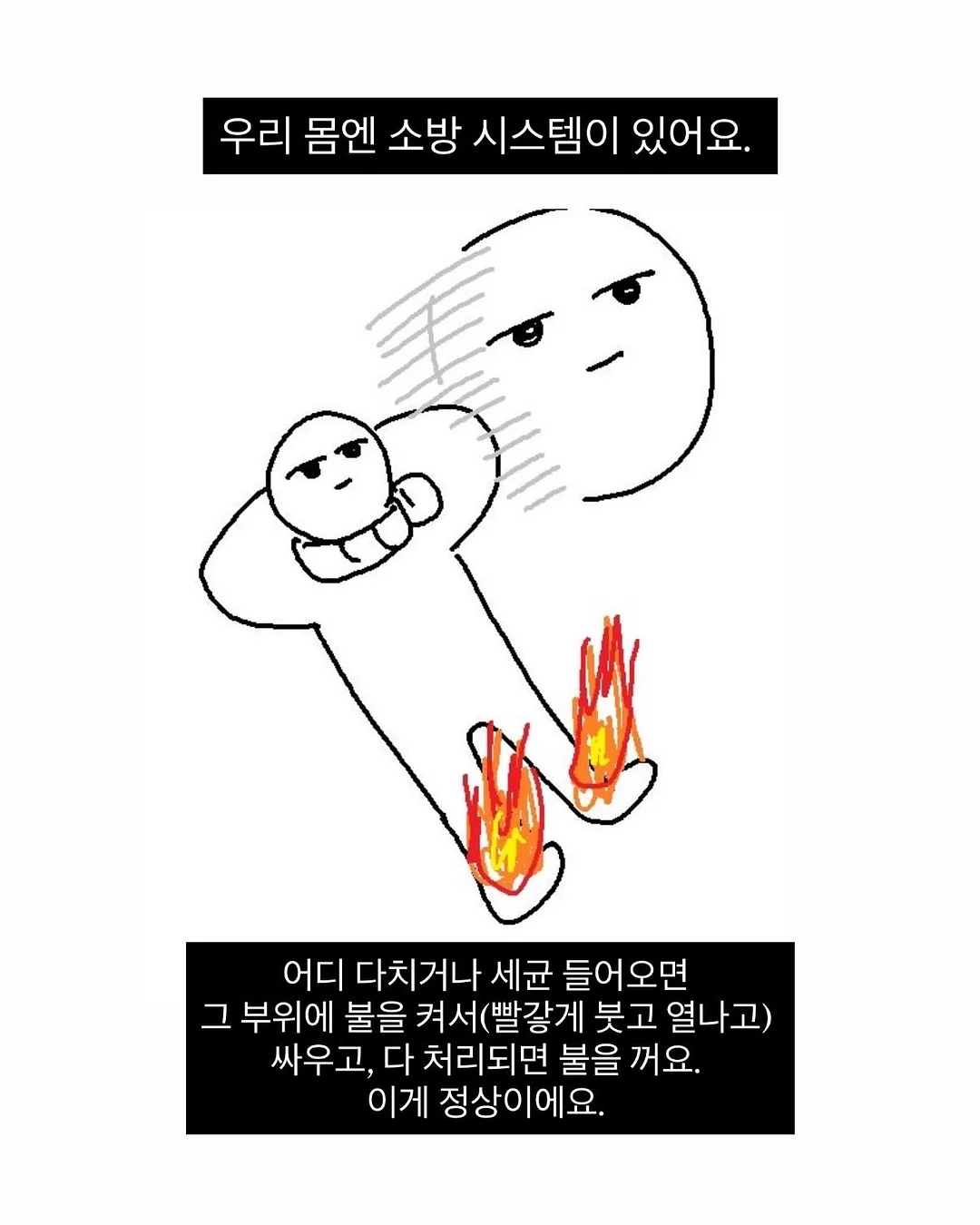 독일 명품 채칼 2