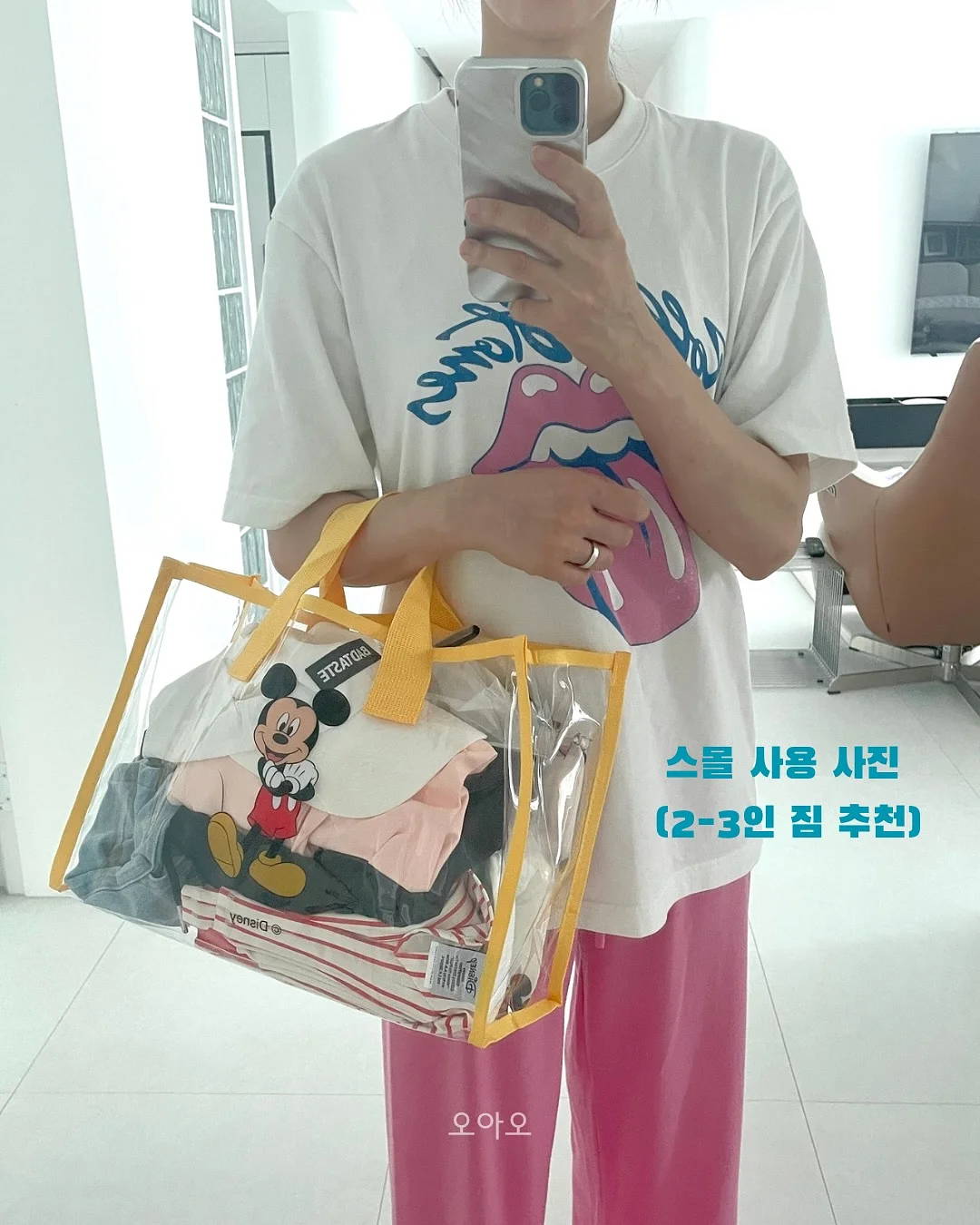 전복한입 6