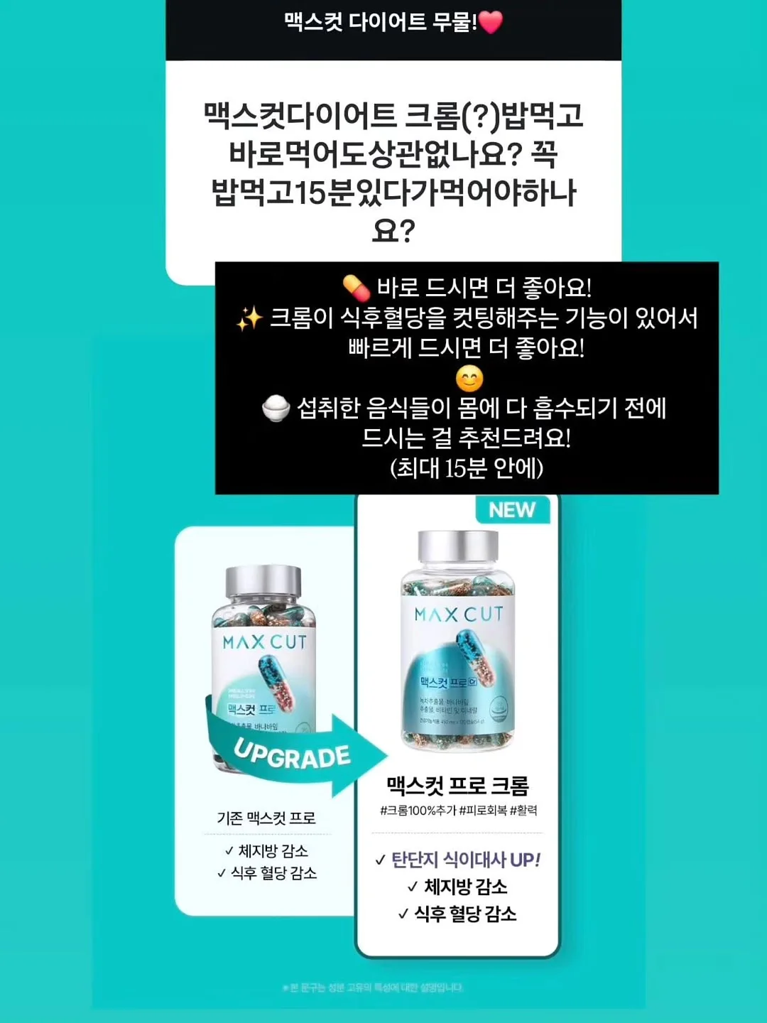싸움의 교양 시리즈 11