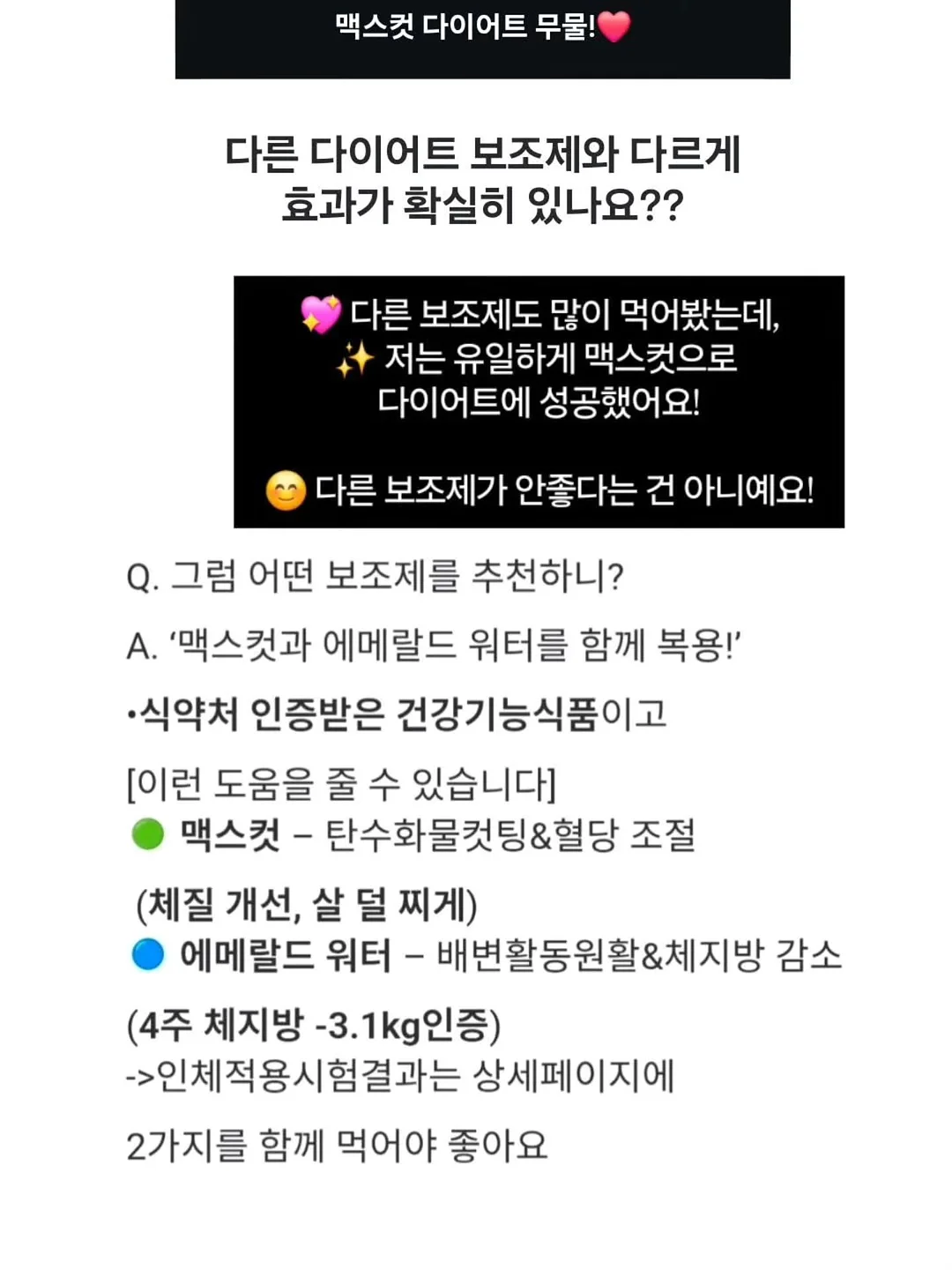 싸움의 교양 시리즈 15