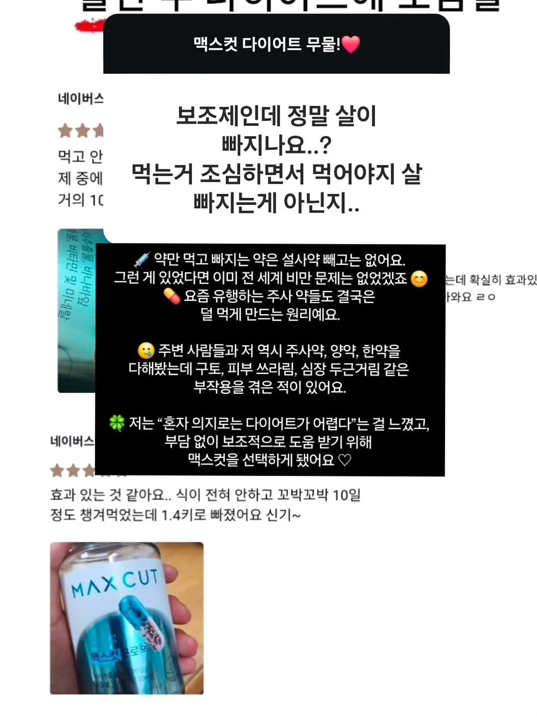 싸움의 교양 시리즈 16