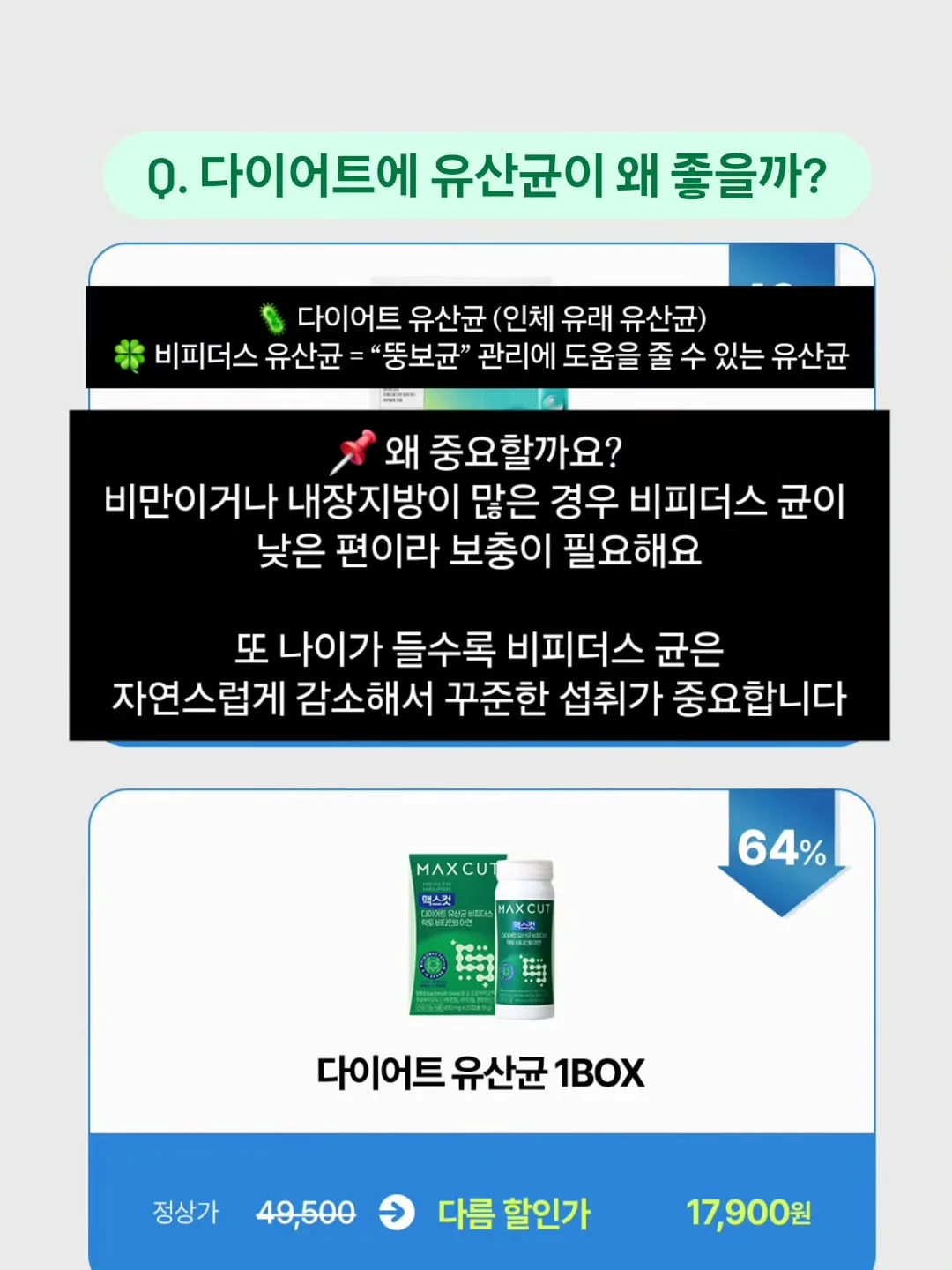 싸움의 교양 시리즈 19