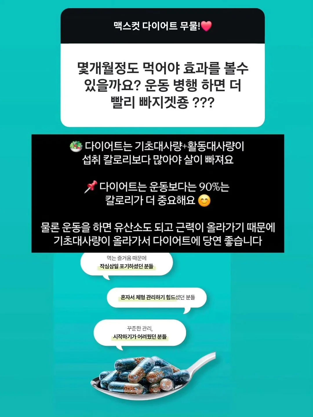 싸움의 교양 시리즈 9