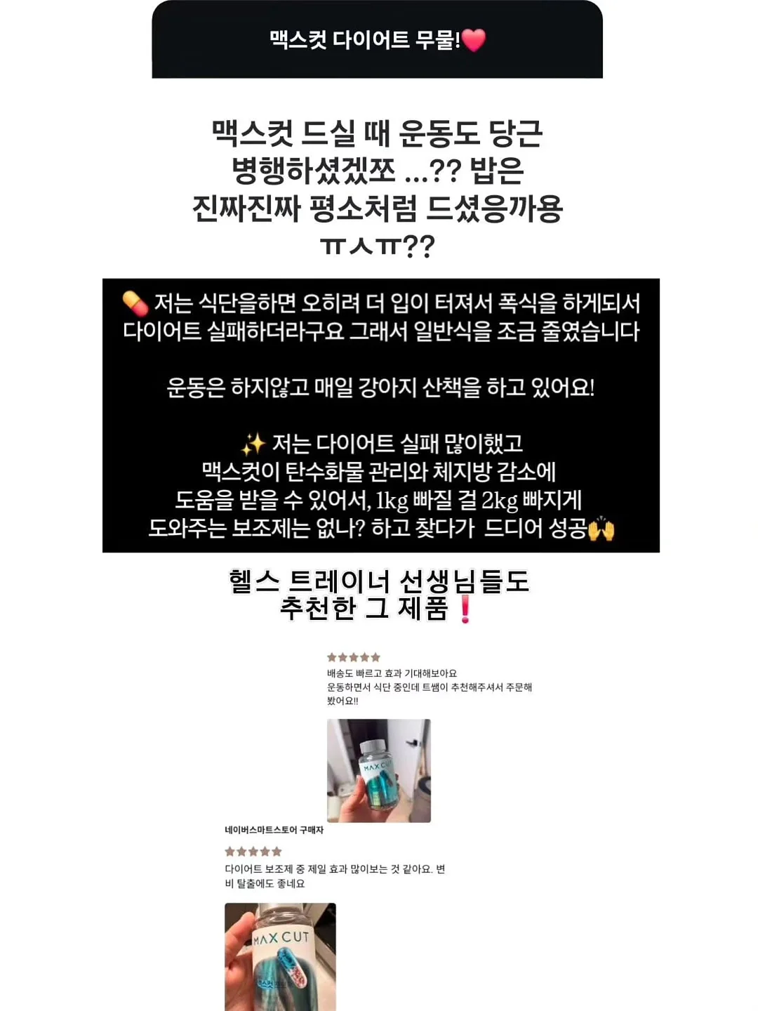 싸움의 교양 시리즈 10