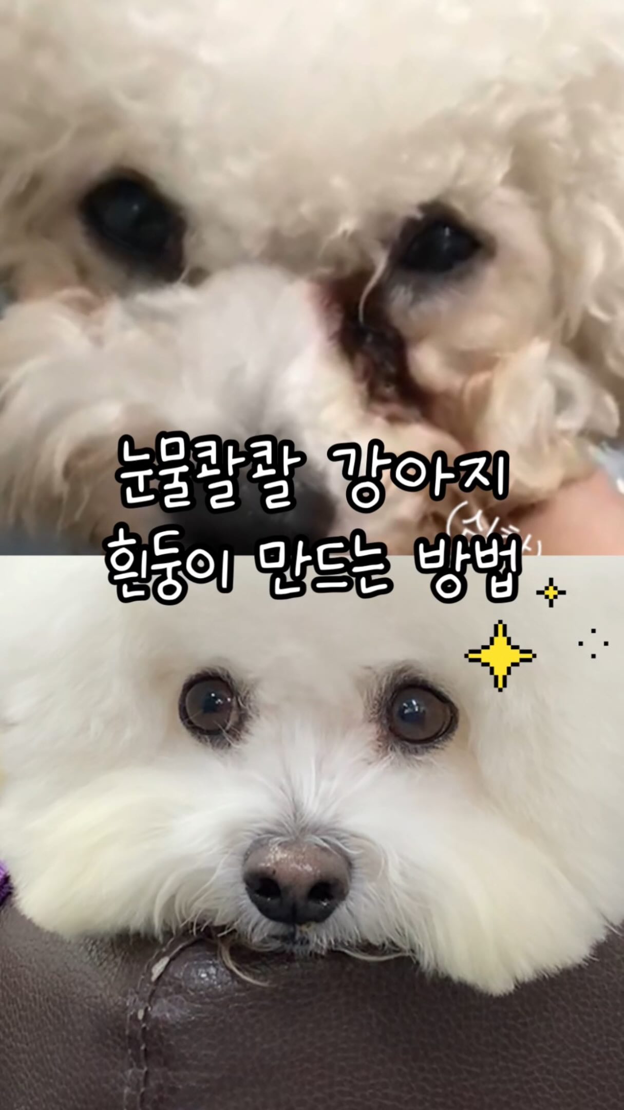 명란크림파스타