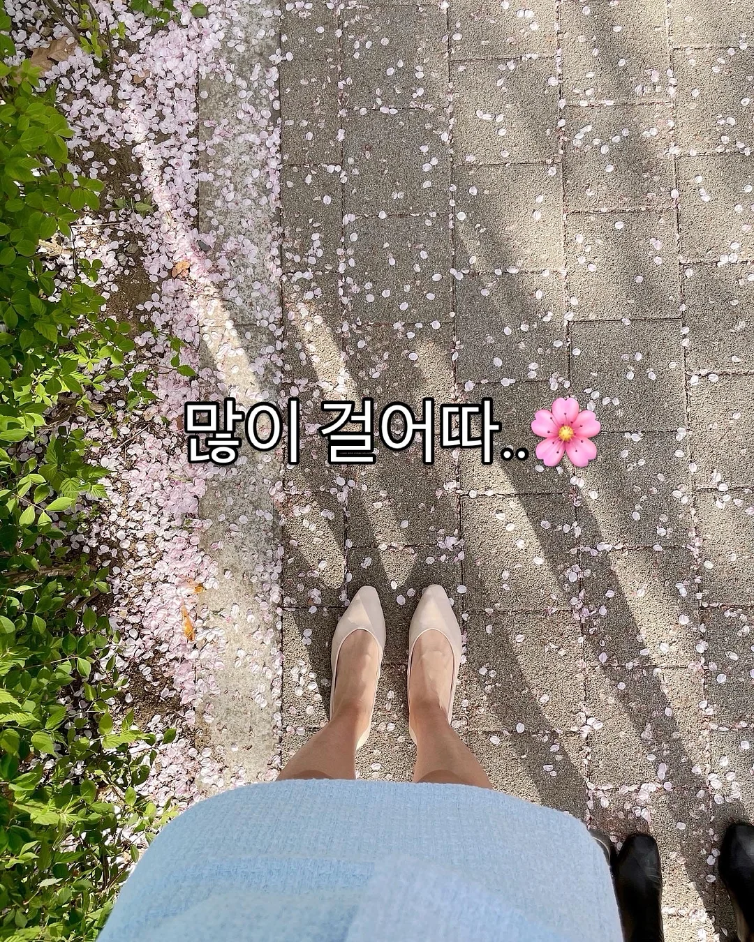 매실청 1