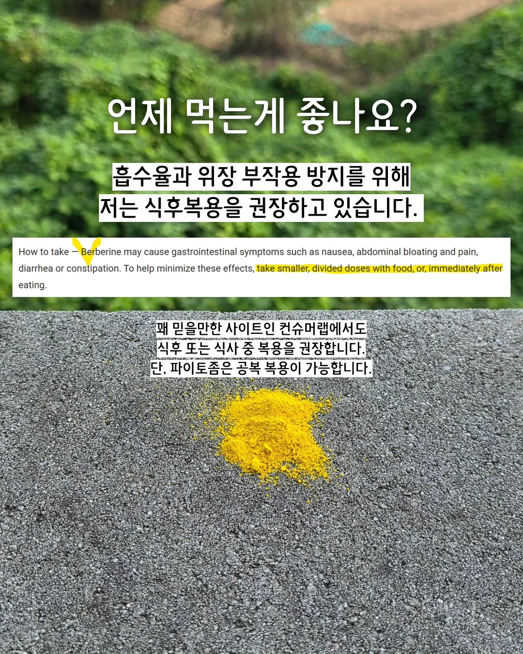 프렌치스퀘어렉 2