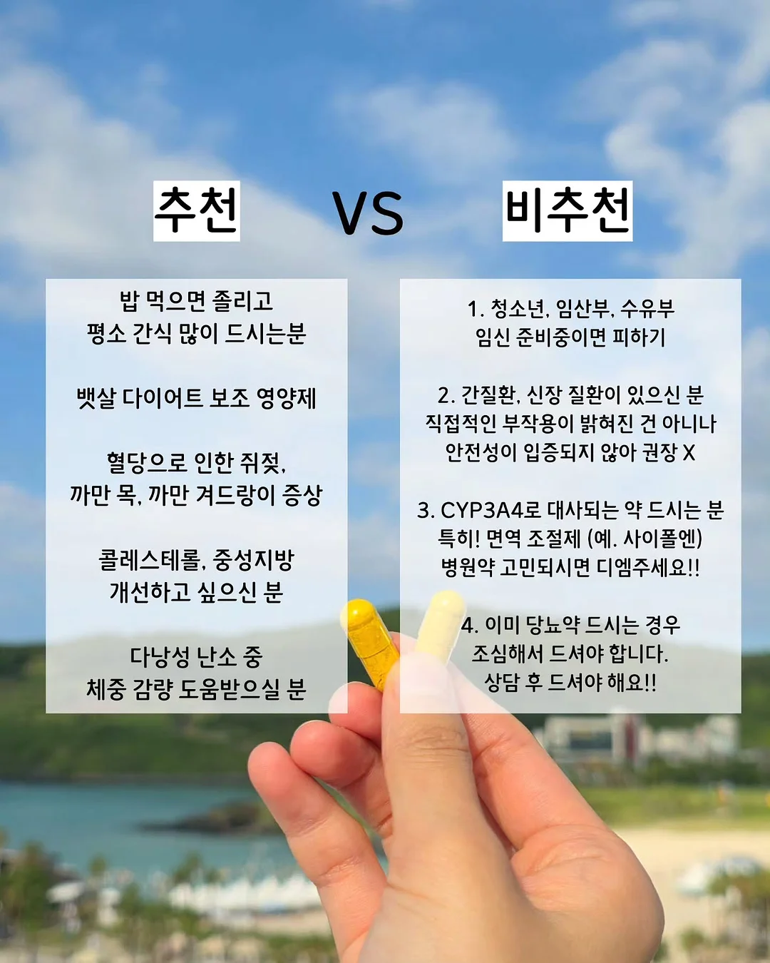 프렌치스퀘어렉 3